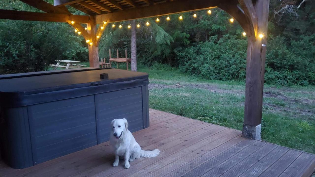 Bed and Breakfast La Rossignolerie - La Familiale Vigneronne Chouzy-sur-Cisse Exterior foto