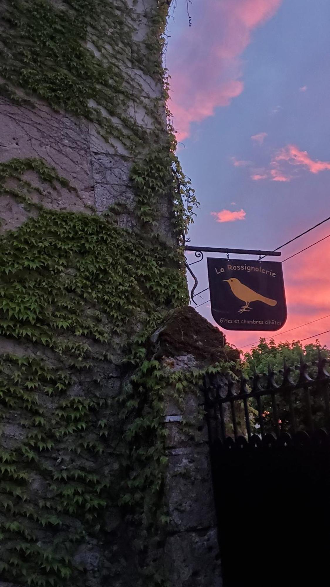 Bed and Breakfast La Rossignolerie - La Familiale Vigneronne Chouzy-sur-Cisse Exterior foto