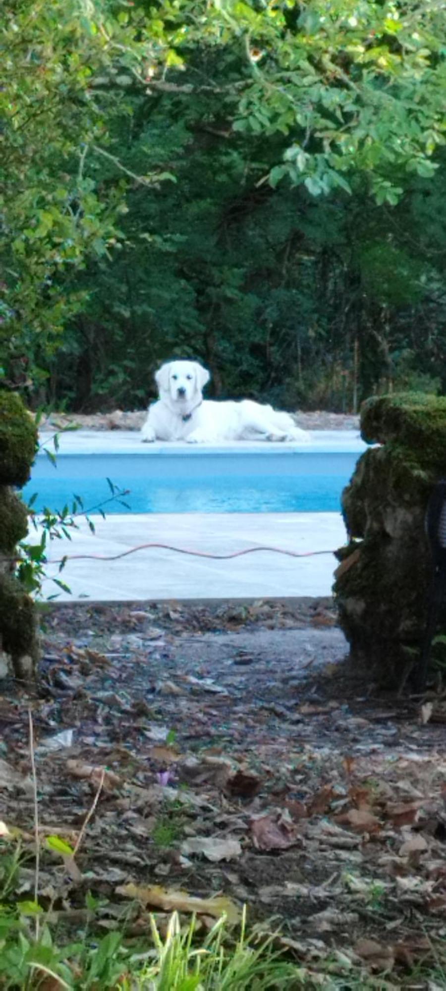 Bed and Breakfast La Rossignolerie - La Familiale Vigneronne Chouzy-sur-Cisse Exterior foto